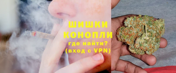 Альфа ПВП Аркадак
