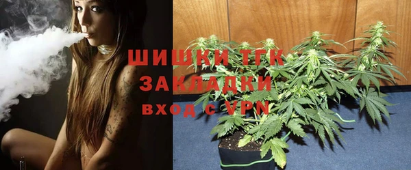 Альфа ПВП Аркадак